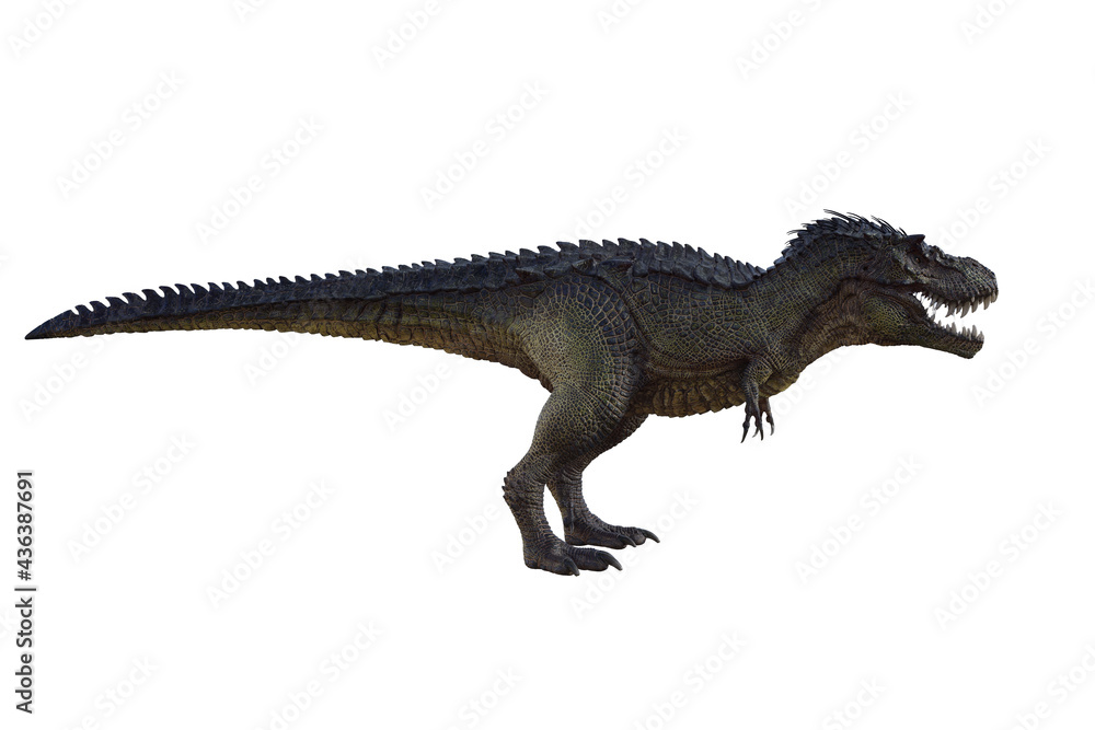 tyrannosaurus rex, in different poses for better adaptation to your collagen. 3d illustration, 3d rendering. tyrannosaurus rex, in different poses for better adaptation to your collagen. 3d illustration, 3d rendering.