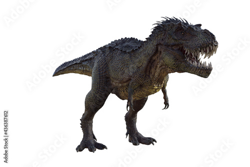 Fototapeta Naklejka Na Ścianę i Meble -  tyrannosaurus rex, in different poses for better adaptation to your collagen. 3d illustration, 3d rendering.