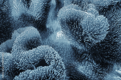 Fototapet coral reef macro / texture, abstract marine ecosystem background on a coral reef