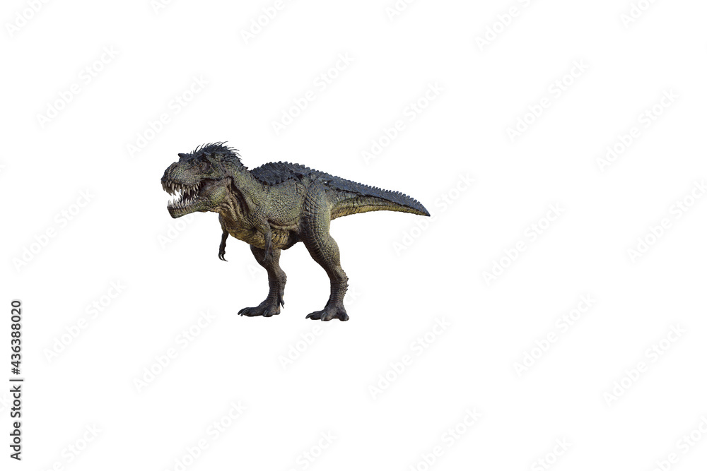 tyrannosaurus rex, in different poses for better adaptation to your collagen. 3d illustration, 3d rendering. tyrannosaurus rex, in different poses for better adaptation to your collagen. 3d illustration, 3d rendering.