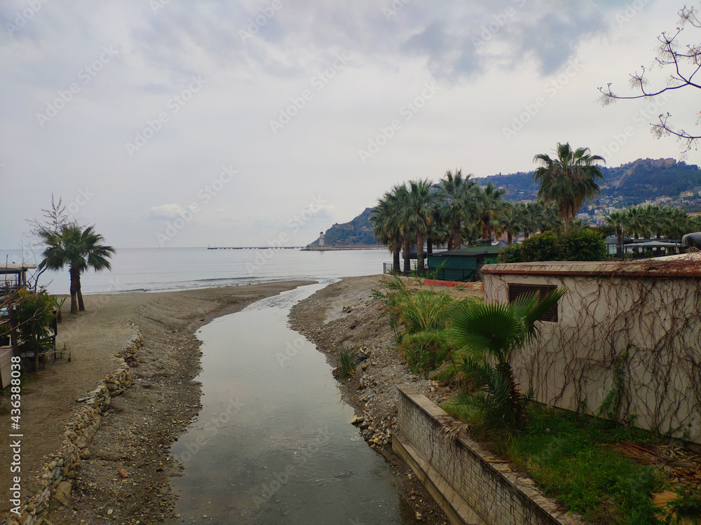 river with palm trees in the background of mountains