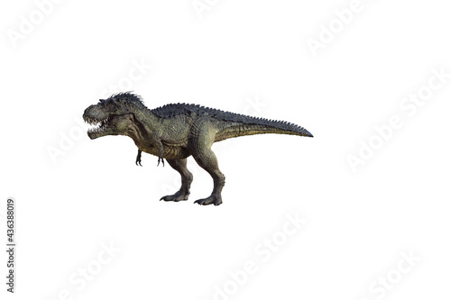 tyrannosaurus rex  in different poses for better adaptation to your collagen. 3d illustration  3d rendering.