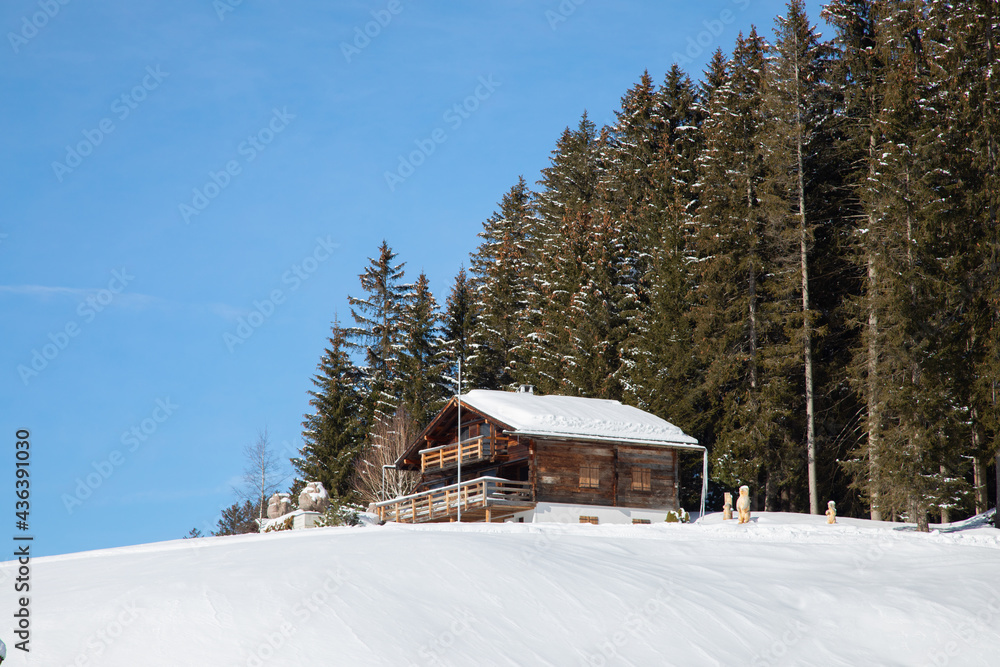 Winter in alps