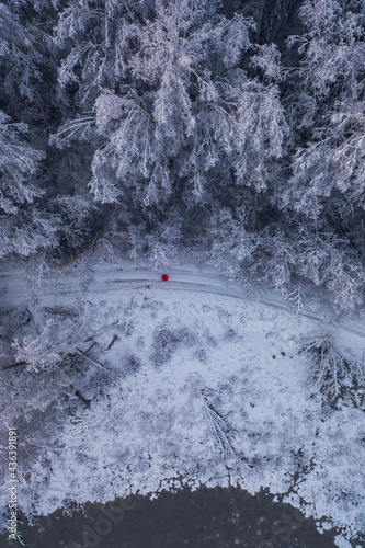 Winter, snow covered forest treetops. Rural landscape. Red umbrella.