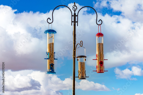 Three bird feeders hanging from a pole