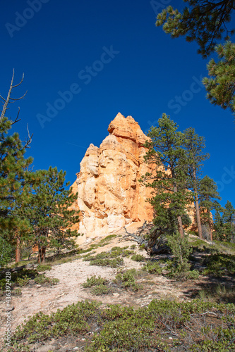 Bryce canyon