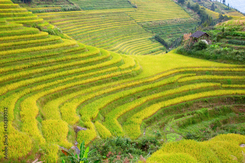Longji Rice Terraces © swisshippo