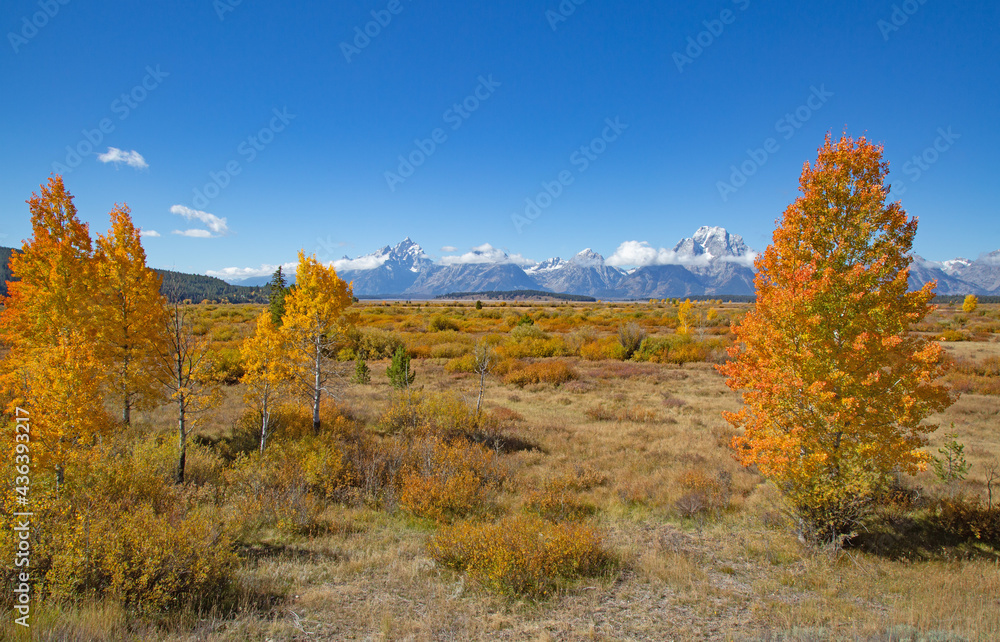 Grand Teton