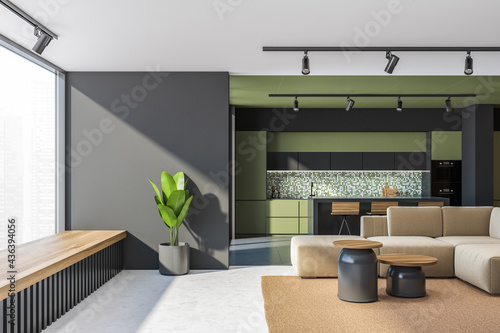 Green and gray living room and kitchen photo
