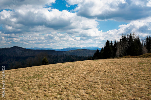 Fototapeta Naklejka Na Ścianę i Meble -  view of Babia Gora peak in Beskidy mountains, Poland