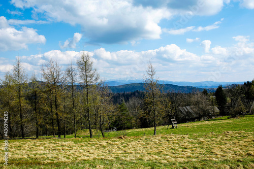 Fototapeta Naklejka Na Ścianę i Meble -  picturesque view of Babia Gora peak in Beskidy mountains, Poland