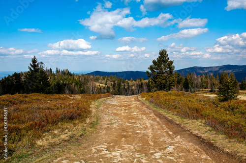 Fototapeta Naklejka Na Ścianę i Meble -  empty road in the mountains, Beskidy Mountains, Poland