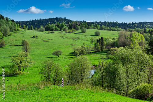 Fototapeta Naklejka Na Ścianę i Meble -  San River and Border Post on Polish Ukraine Frontier in Bieszczady Park, Poland at Sumer.