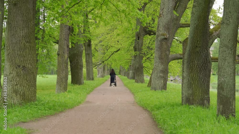 Mother pushing carrycot stroller with sleeping baby on a walk in spring park, Catherine Park in the town of Tsarskoye Selo (Pushkin), St. Petersburg, Russia. High quality 4k footage