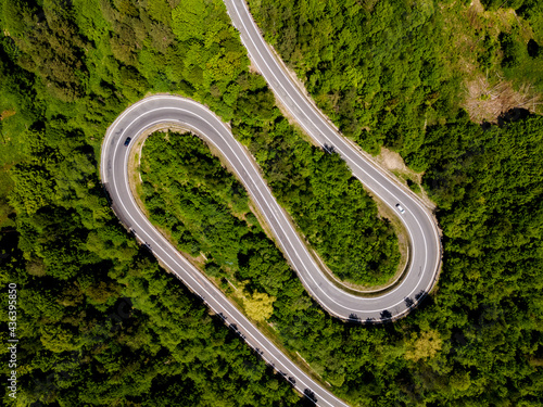 Curvy Road in Forest. Top Down Drone View