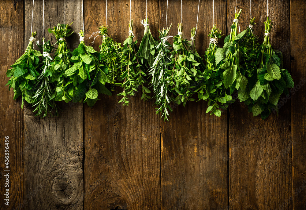 Collection of Various Fresh Herbs Hanging in Bunches for Drying Collection of Various Fresh Herbs Hanging in Bunches for Drying