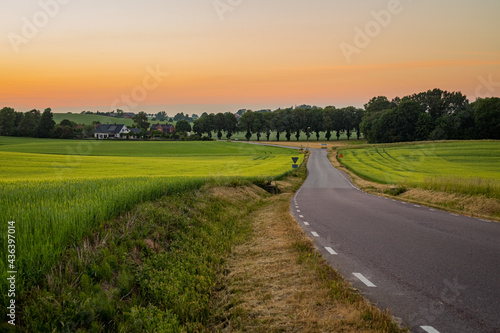 Country road in the evening