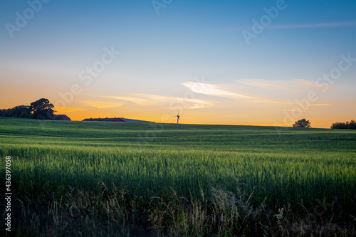 Field with windmills in the sunset photo