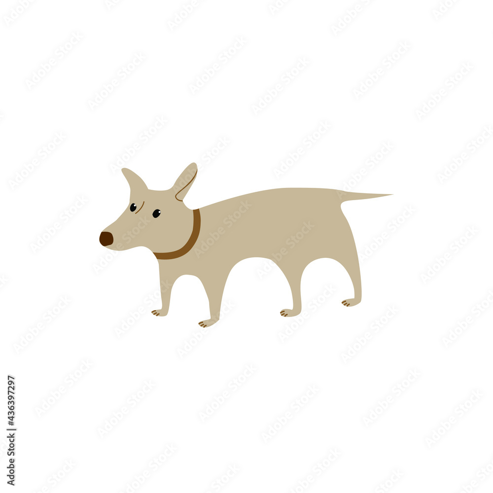Vector image of an gray dog on white background Vector image of an gray dog on white background