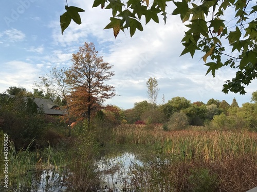 nature