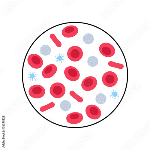 Blood structure concept