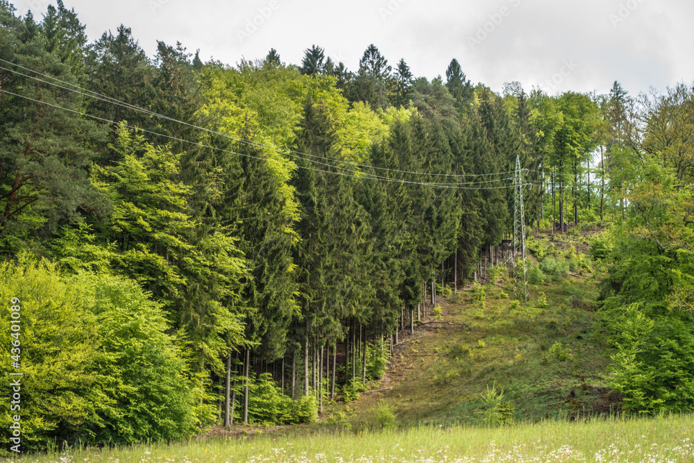 Stromleitung über Wiesen und durch den Wald Stromleitung über Wiesen und durch den Wald