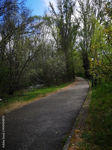 Tree-lined promenade boulevard in the mountains