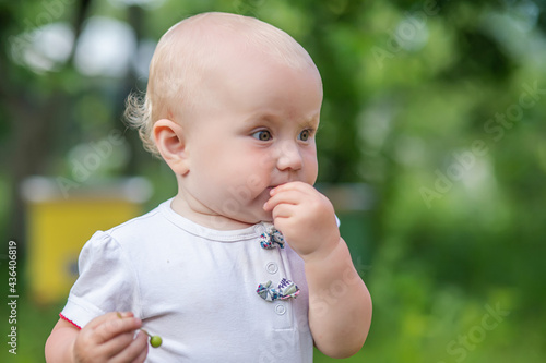 Φωτογραφία child eats green cherry berries in summer