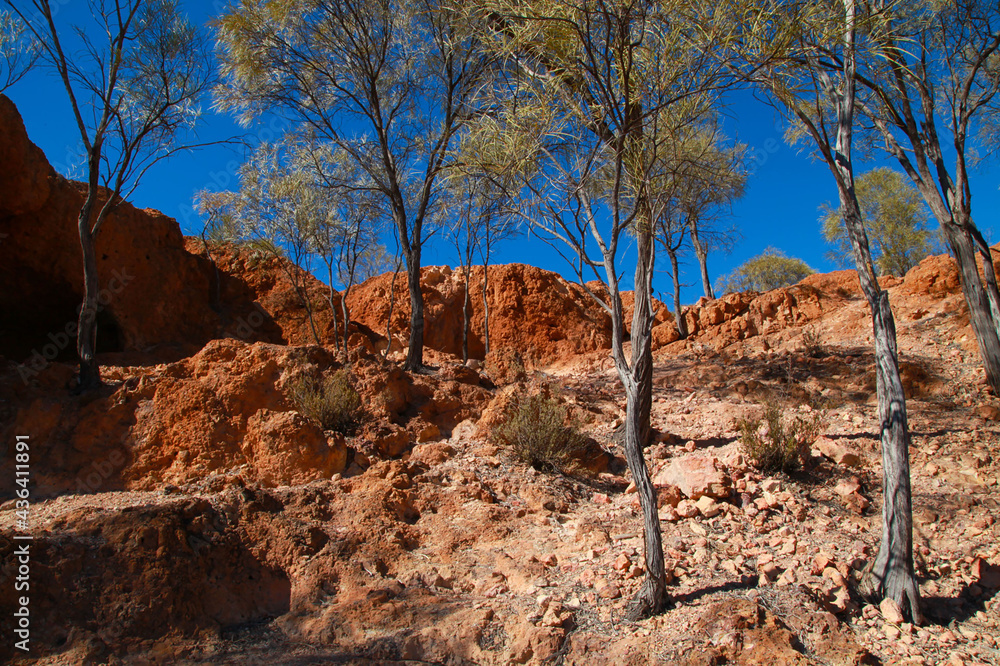 Red desert landscape of the Australian Outback Red desert landscape of the Australian Outback