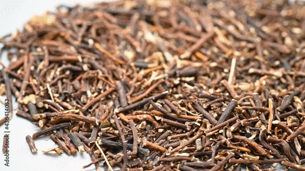angle pan view herb WeiLingXian or Clematidis Radix et Rhizoma or Chinese Clematis Root and Rhizome angle pan view herb WeiLingXian or Clematidis Radix et Rhizoma or Chinese Clematis Root and Rhizome
