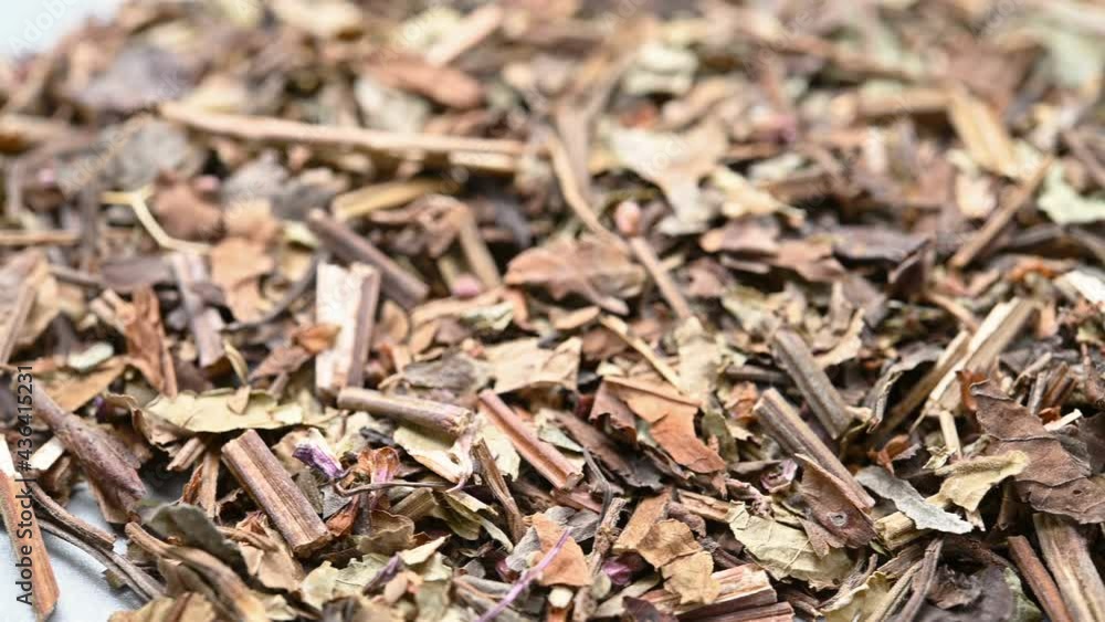 angle pan view herb ShiJianChuan or Chinese Sage Herb angle pan view herb ShiJianChuan or Chinese Sage Herb