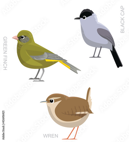 Bird UK Wren Black Cap Set Cartoon Vector Illustration