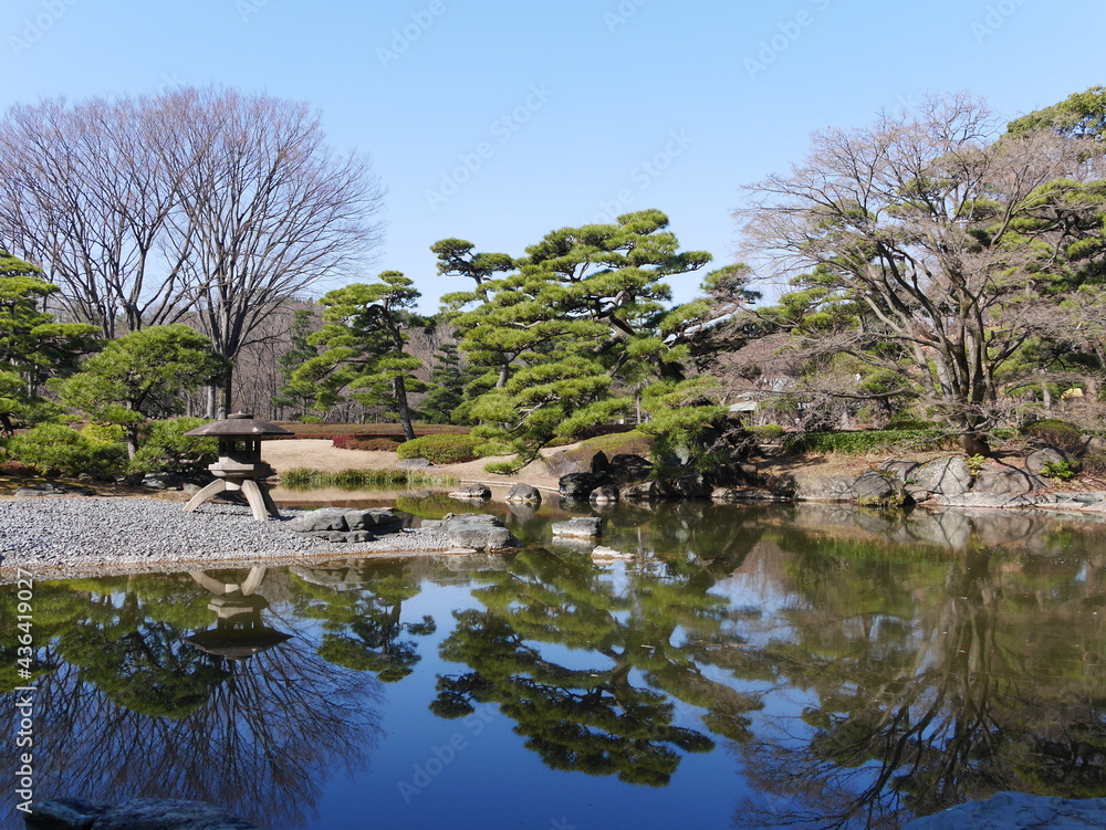 Obraz premium 静かな日本庭園の池