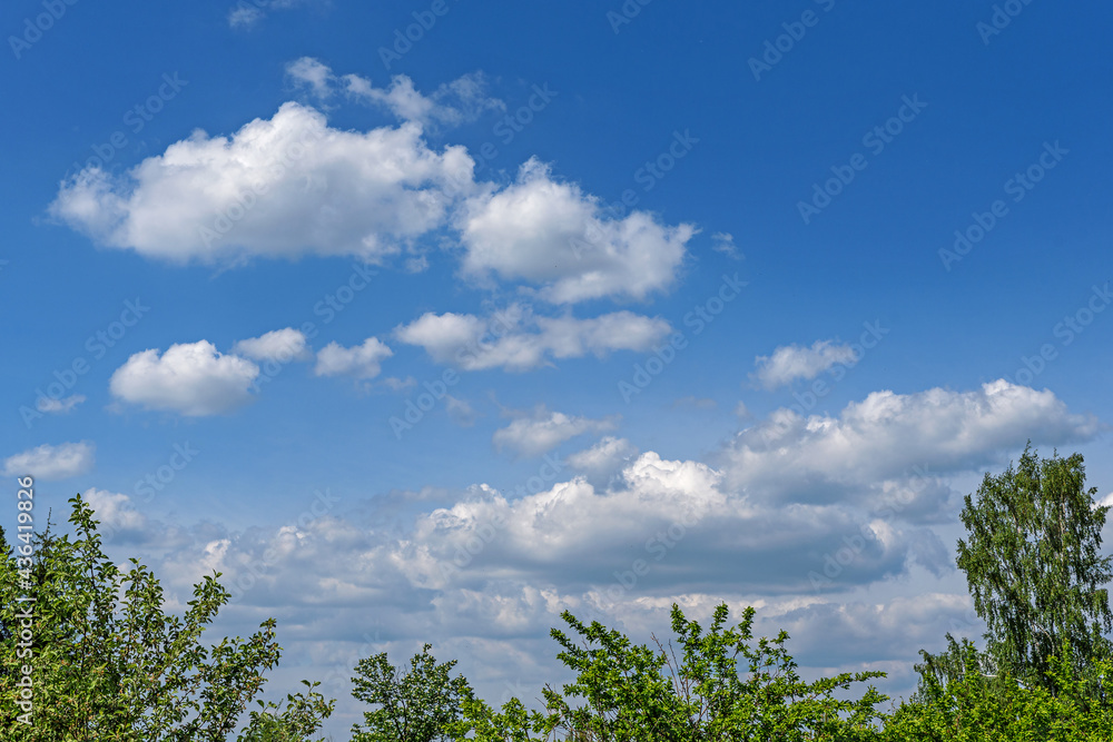 Blue sky with white clouds over the treetops