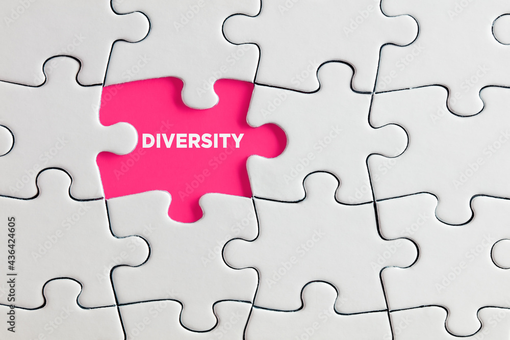 The word diversity on pink missing puzzle piece. Diversity inclusion or exclusion The word diversity on pink missing puzzle piece. Diversity inclusion or exclusion