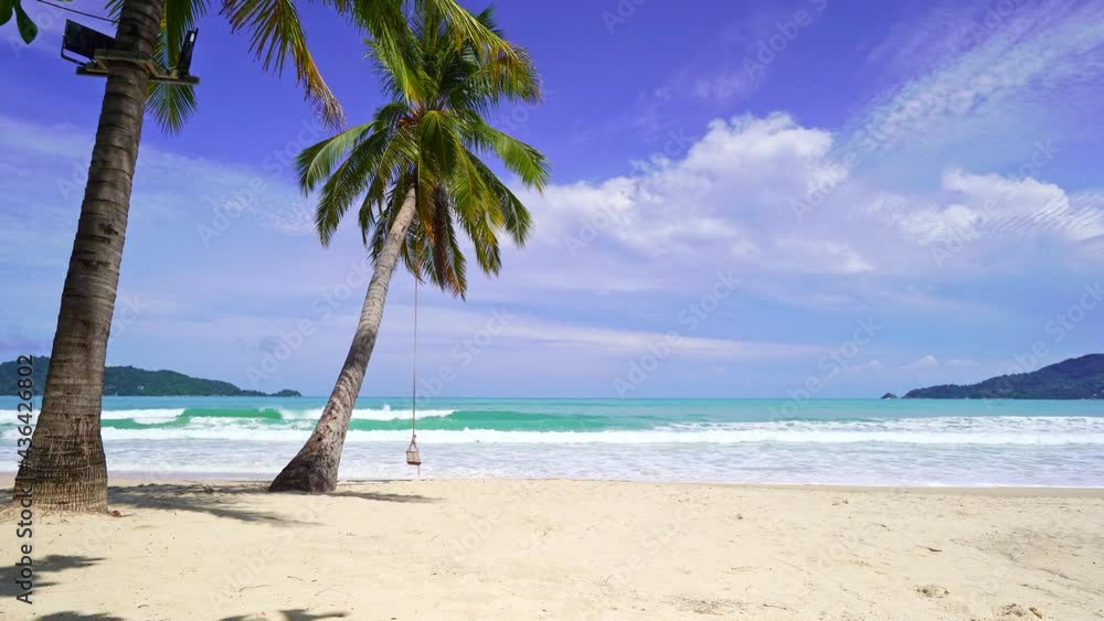 Palm trees beach front at beautiful nature landscape of blue sky and sea view seascape Morning soft sunlight shine on green coconut trees in southern Thailand Patong beach Beautiful beach at Phuket Palm trees beach front at beautiful nature landscape of blue sky and sea view seascape Morning soft sunlight shine on green coconut trees in southern Thailand Patong beach Beautiful beach at Phuket