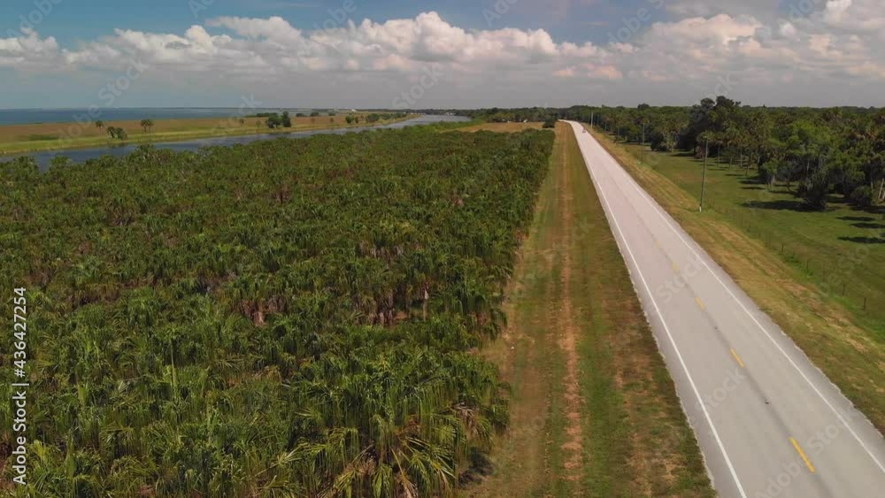 Palm trees and river near Lake Okeechobee. Aerial view. Palm trees and river near Lake Okeechobee. Aerial view.
