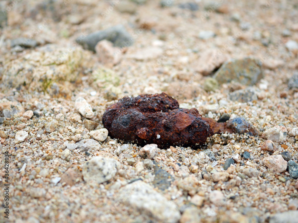 Fototapeta premium Rusty trash on the beach