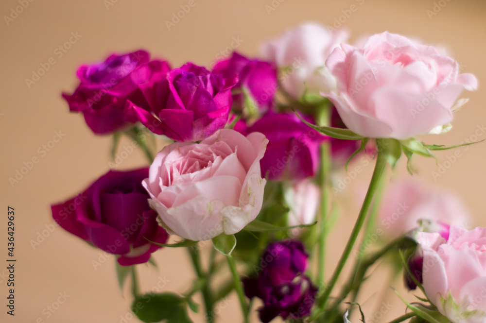There is a bouquet of pink and red roses. 
