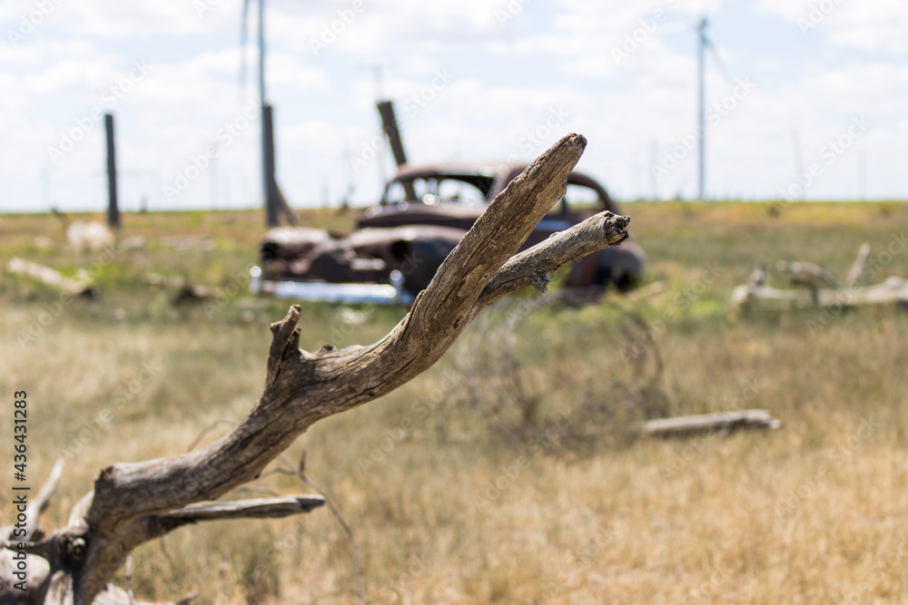 Abandoned car and dead wood