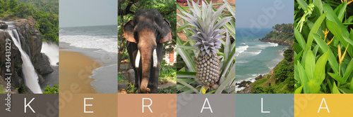 ertical photo collage of tropical place and landscape in India, Kerala, coconut palm, sea, plant, elephant, shore, waterfall