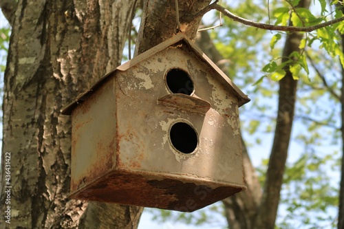 小鳥の巣箱