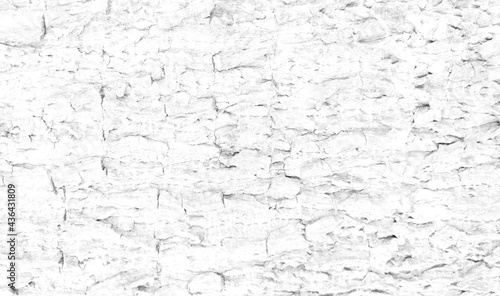 White rough bark texture in retro concept.