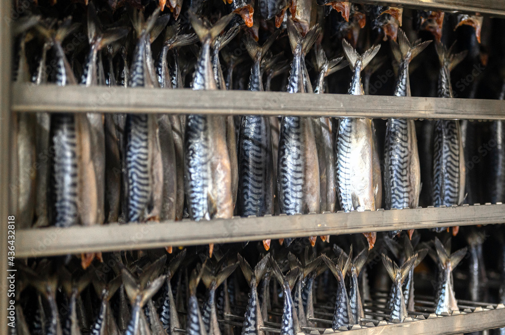 Lots of mackerel carcasses are hung in a smoking container.