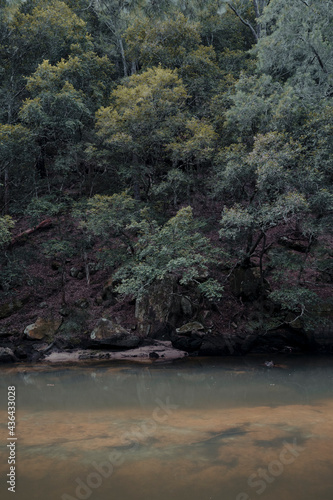 Trees line the river s edge at a calm  green section of Berowra Creek near the Hawkesbury River.