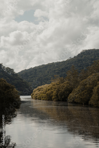 Sun shining on trees at the water's edge on a calm section of Berowra Creek near the Hawkesbury River.