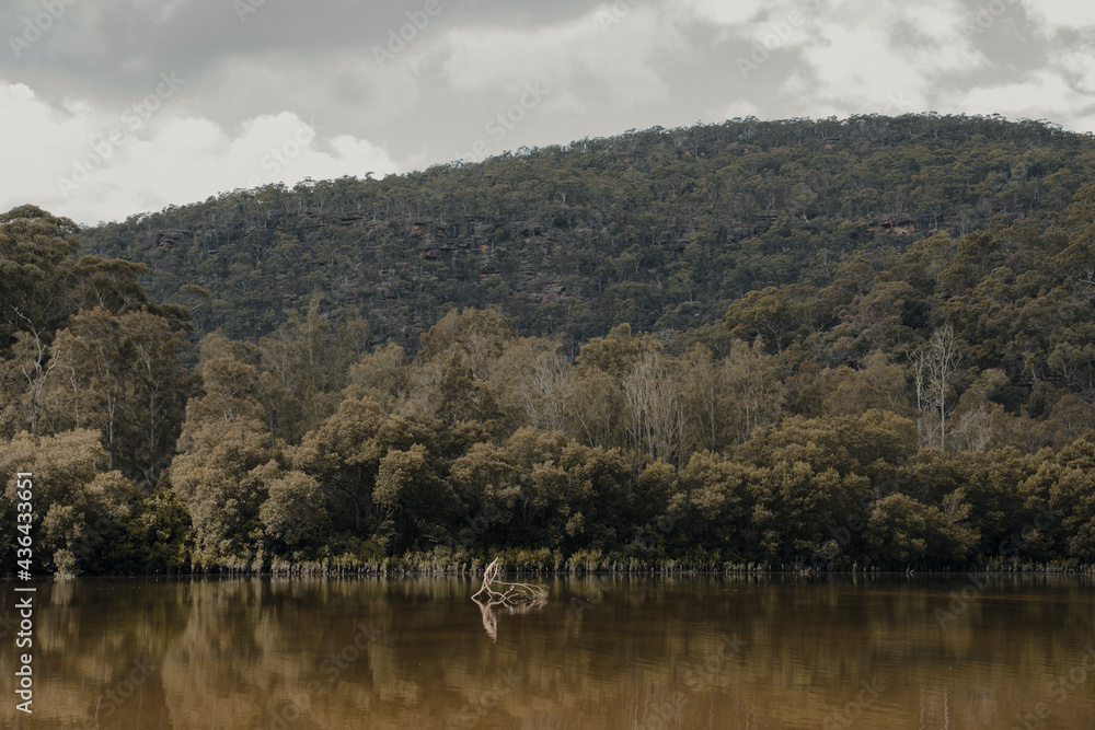 Trees reflecting in the water at a calm, green section of Berowra Creek near the Hawkesbury River. Trees reflecting in the water at a calm, green section of Berowra Creek near the Hawkesbury River.