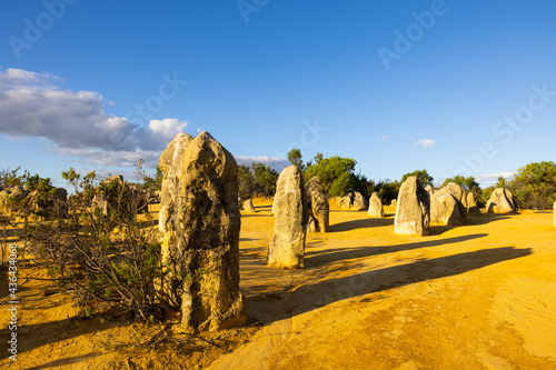 Stone monolith at the Pinnacles at Nambung National Park, Western Australia
