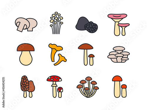 Mushrooms icon set. Vector linear color icons contour shape outline. Modern glyph design. Champignon enoki truffle russula porcini cep chanterelle oyster morel fly agaric honey toadstool birch bolete