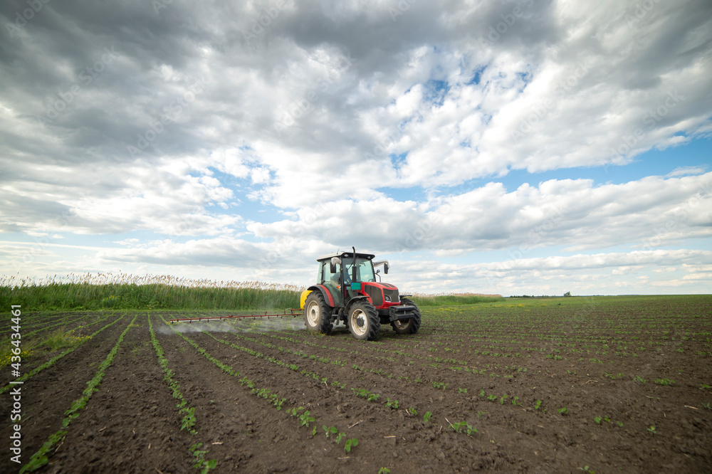 Spraying pesticides at soy bean fields Spraying pesticides at soy bean fields